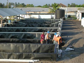 Aquaculture