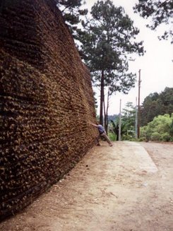taludes ecologicos